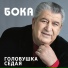 45 BOKA v glazakh touman