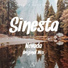 Sinesta