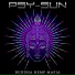 Psy-Sun