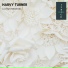 Harvy Turner