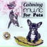 Pet Music Academy