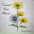 TAME THE MERE