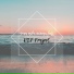 DIP Project