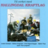 Hallingdal Kraftlag