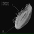 Dykkon