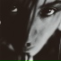 Sugizo