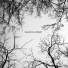 ! ! Ф random forest