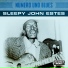 Sleepy John Estes