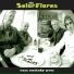 The Solaflares