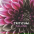 TRITICUM