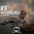 K9
