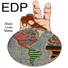 EDP