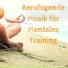 Meditationsmusik Culture
