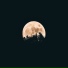 Moodify