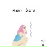 sao kzu