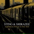 Sting x Shirazee