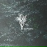 Almoon