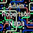 Adam Robertson