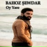 Bahoz Şewdar