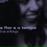 Fran Nóbrega feat. Salomão Soares