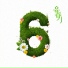 6band