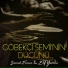 Semih Finini
