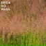 erica no hana
