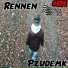 Pzudemk