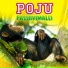 Poju