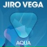 DJ Sergio Gress vs. Jiro Vega