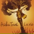 Aïcha Touré