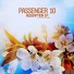 Passenger 10