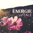 Pensée Positive Project