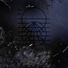Lucida Dark