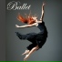 Ballet Dance Company