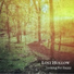Lost Hollow