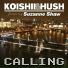 Koishii & Hush feat. Suzanne Shaw