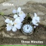 Gmax