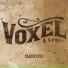 Voxel