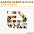 Aaron Olson, D.O.R