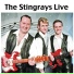 The Stingrays