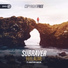 Subraver feat. Sebastian Hansson