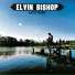 Elvin Bishop