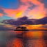 Pyrus