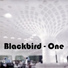Blackbird