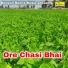 Subho Ghosh