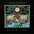 Khruangbin, Scientist
