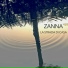 Zanna