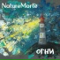 NatureMorte