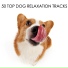 Dog Chillout Zone